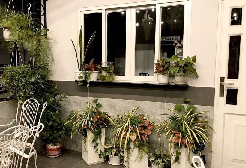 تختخواب و صبحانه Louis Hotel   Bui Vien Walking Street