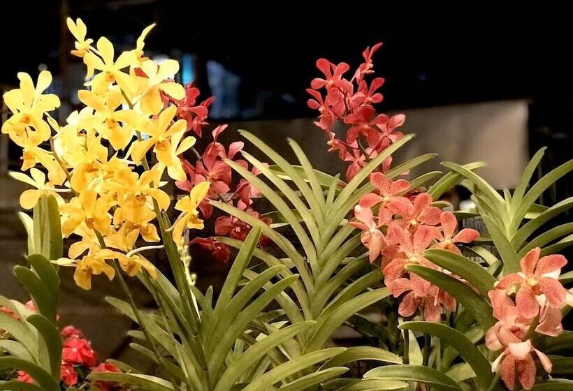 تختخواب و صبحانه Louis Hotel   Bui Vien Walking Street