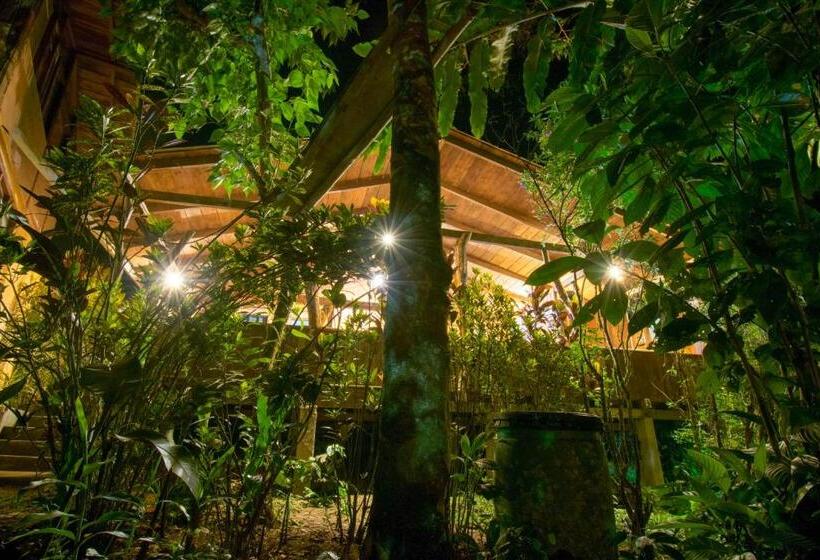 ホテル Hostería Los Cedros De Mindo