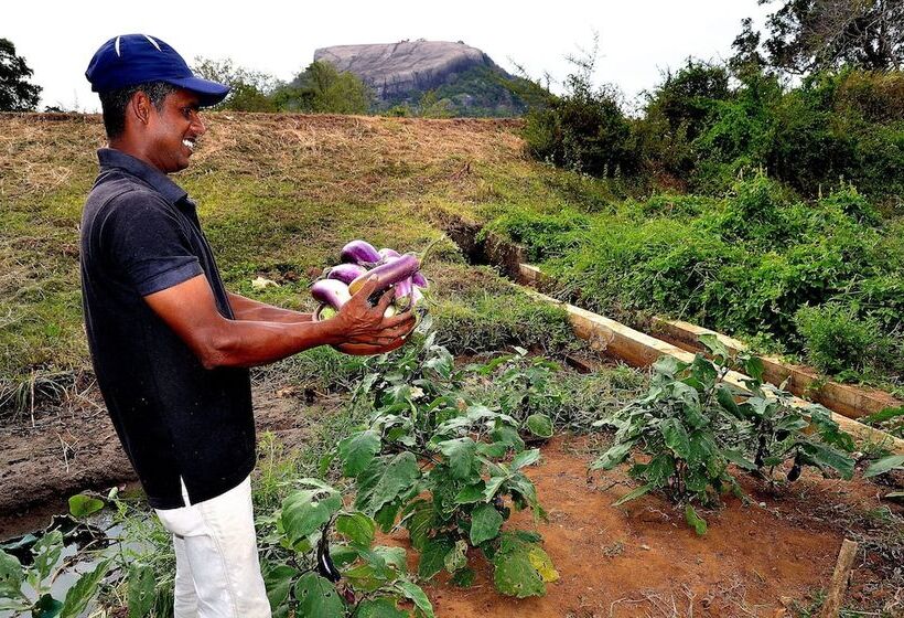 호텔 Sigiriya King S Resort