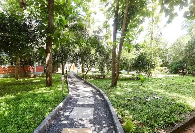 Nature Breeze Resort And Spa