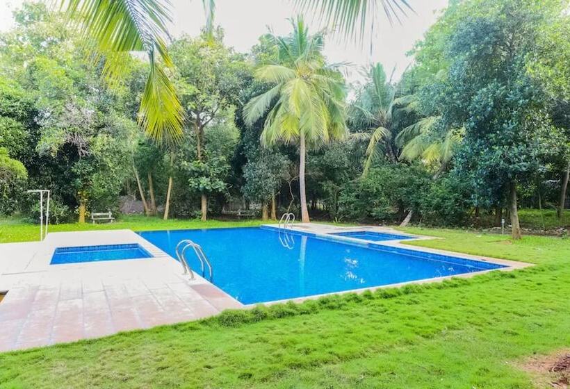 Nature Breeze Resort And Spa