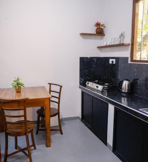 بنسيون The Jungle View