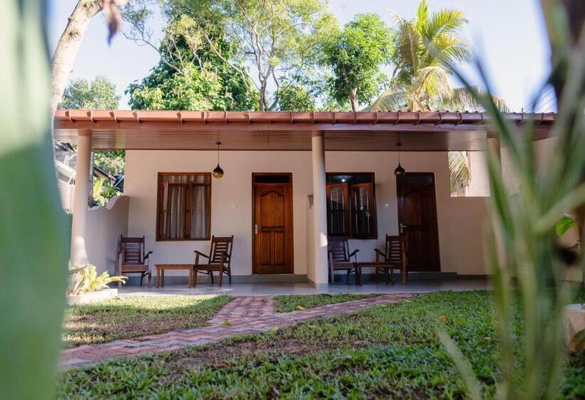 بنسيون The Jungle View