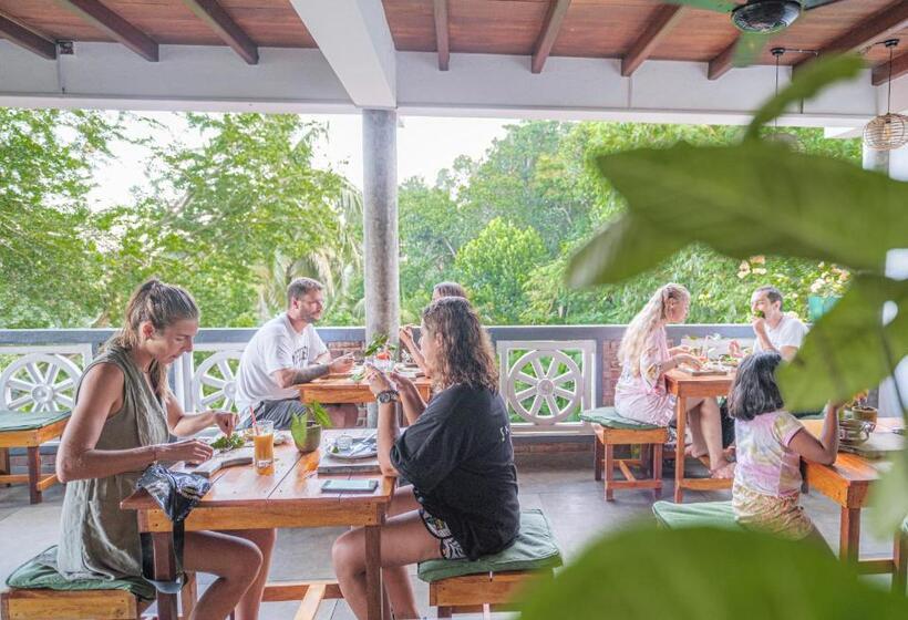 بنسيون The Jungle View