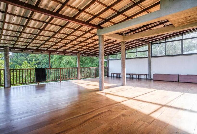 بنسيون The Jungle View