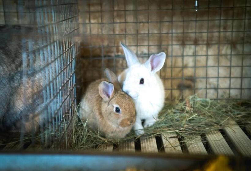 בית מלון כפרי Agriturismo Terra E Cielo