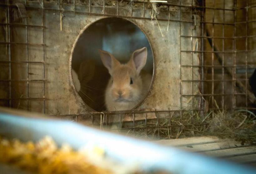 בית מלון כפרי Agriturismo Terra E Cielo