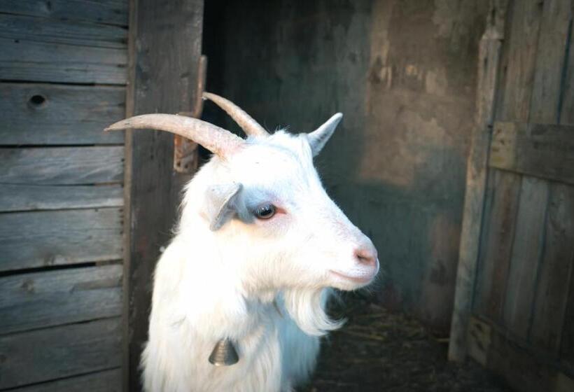 בית מלון כפרי Agriturismo Terra E Cielo