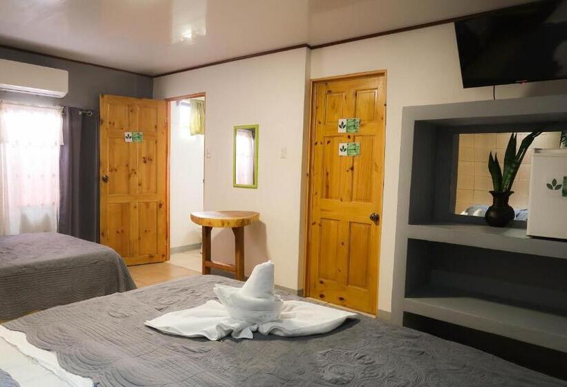 هتل Hoja De Oro Corcovado