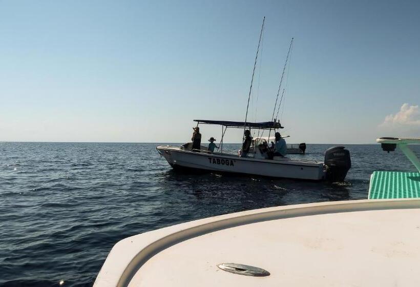 هتل Hoja De Oro Corcovado