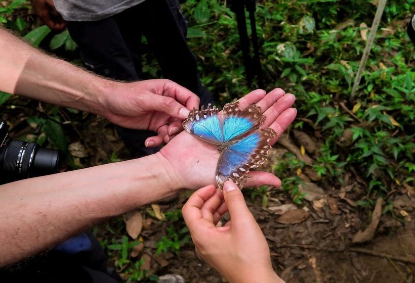 هتل Hoja De Oro Corcovado