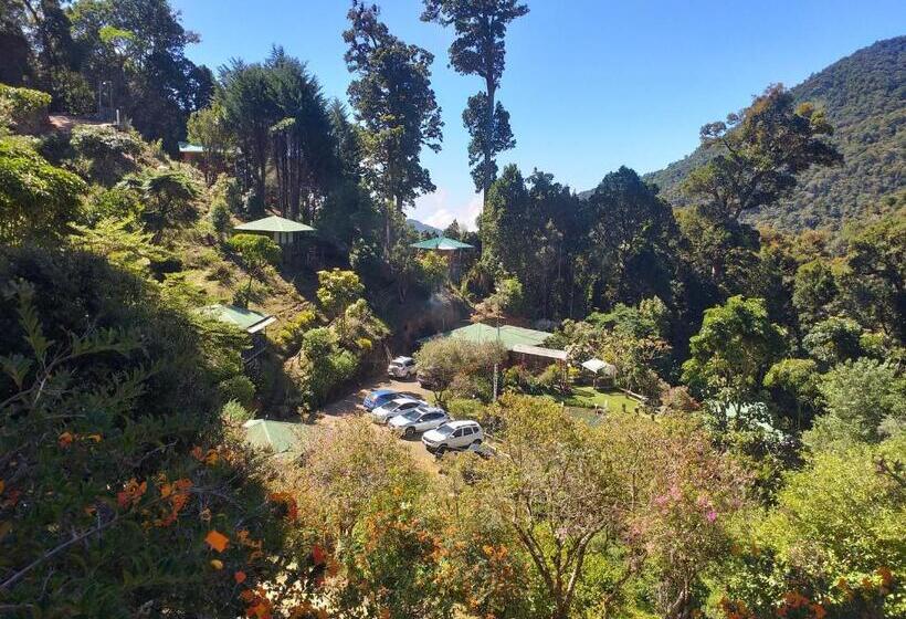 בית מלון כפרי Las Cataratas Lodge