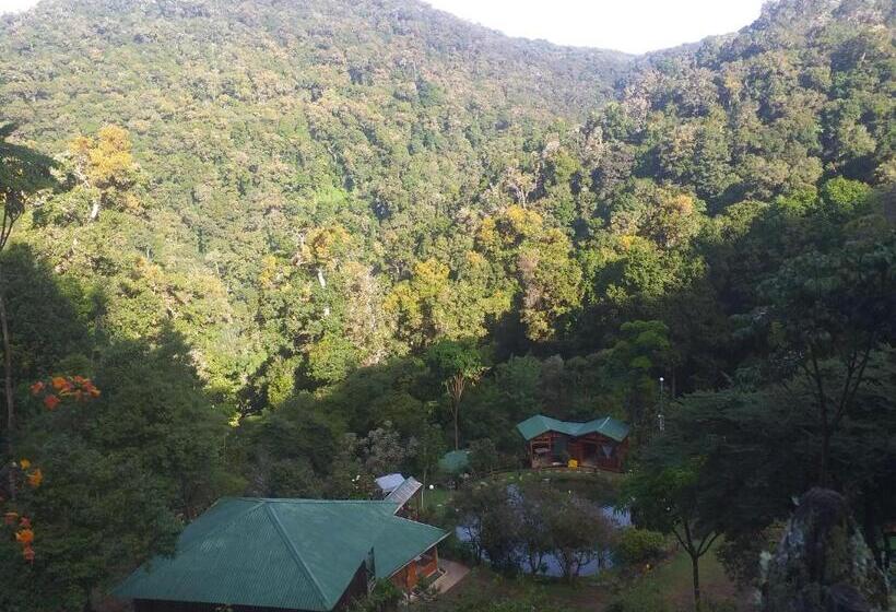 בית מלון כפרי Las Cataratas Lodge