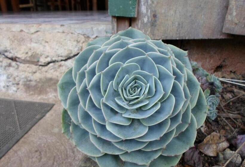 בית מלון כפרי Las Cataratas Lodge