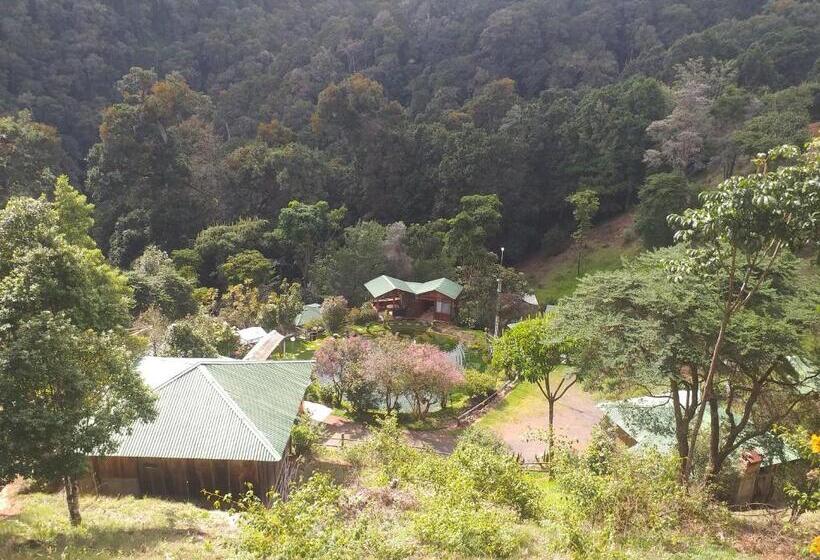 בית מלון כפרי Las Cataratas Lodge