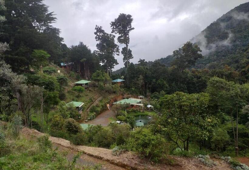 בית מלון כפרי Las Cataratas Lodge