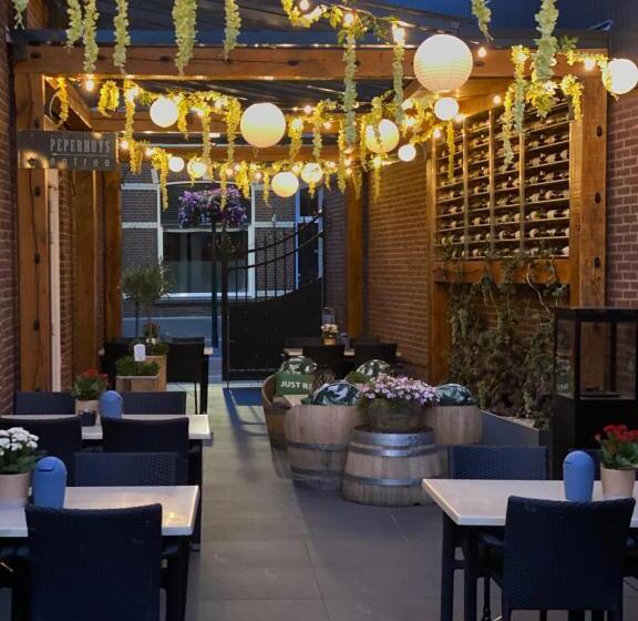 בית מלון כפרי T Peperhuys