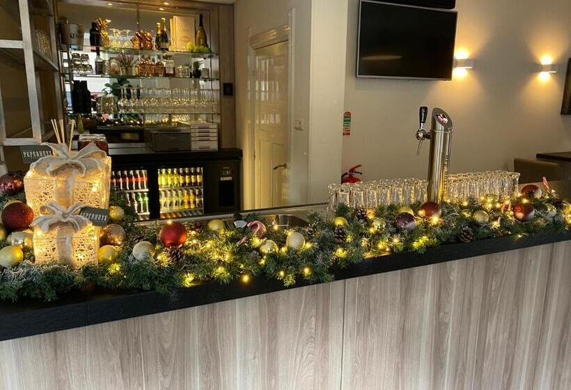 בית מלון כפרי T Peperhuys