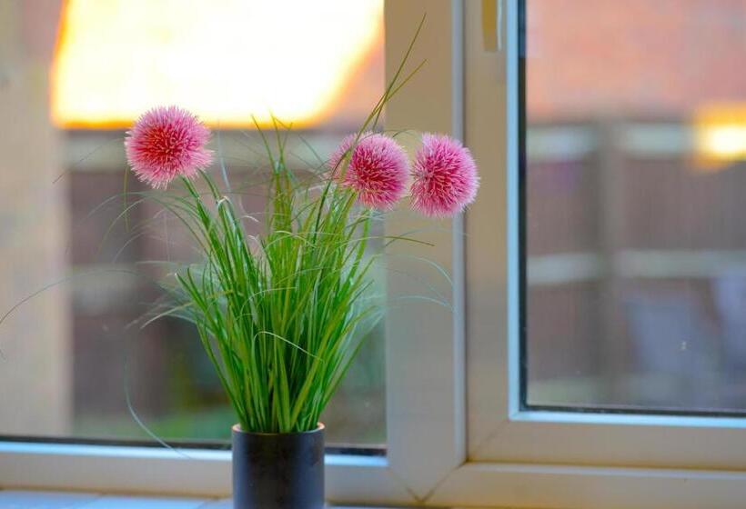 فندق Taylor Close