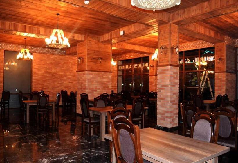 هتل Three Penguins