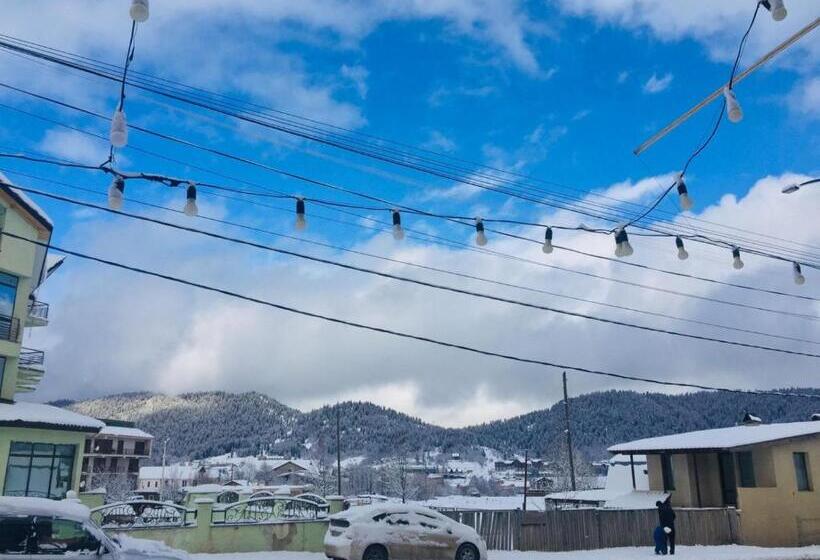 هتل Three Penguins