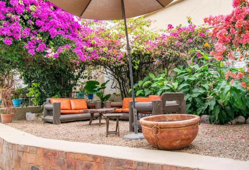 Пансион Collection O 1531