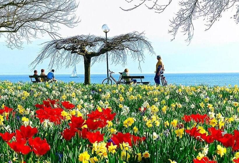 酒店 Am Rehberg Garni