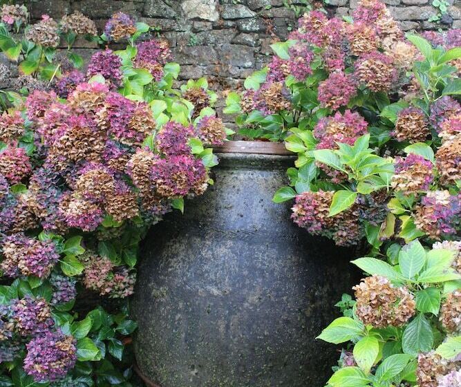 Отель Manoir Du Moustoir   Hôtel Les Empreintes