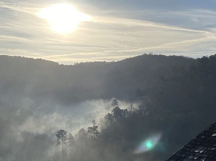 فندق Le Saintetienne