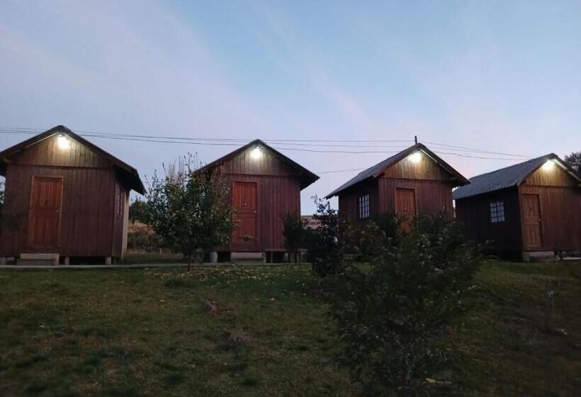 بنسيون Pousada Bica D água