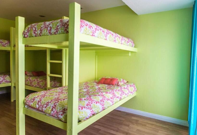 The Big Island Hostel