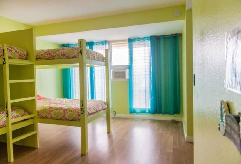 The Big Island Hostel