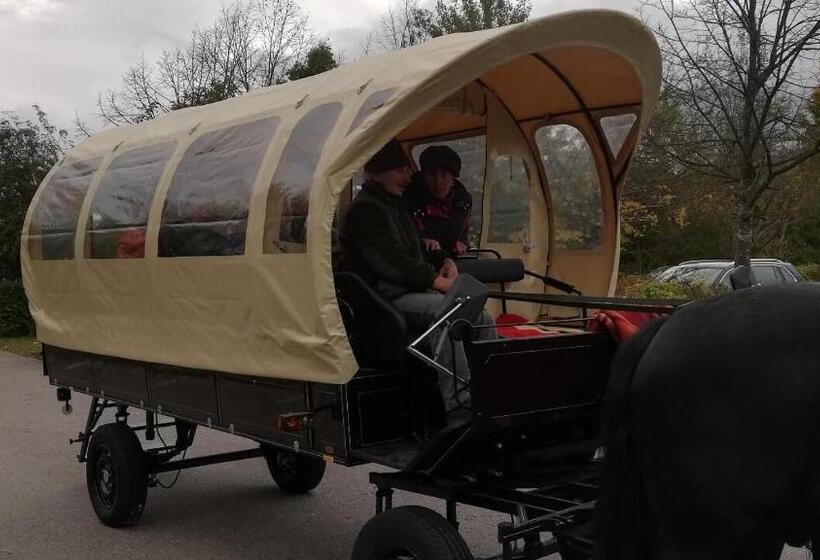 Ferienappartements Grolik Im Aparthotel Zum Gutshof