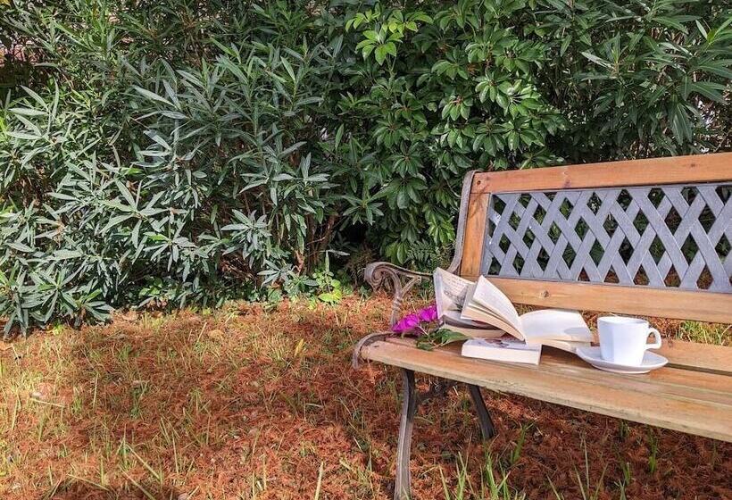 تختخواب و صبحانه Ars Amici