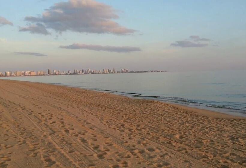 تختخواب و صبحانه Ars Amici