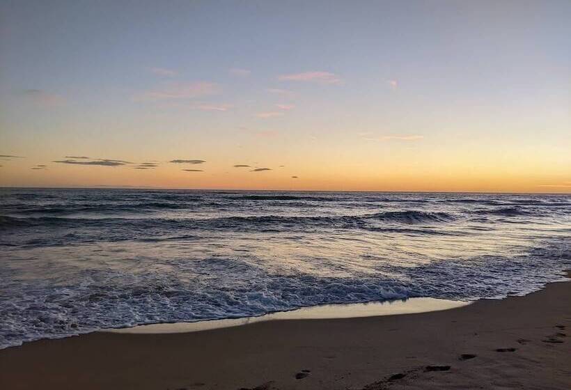 تختخواب و صبحانه Ars Amici