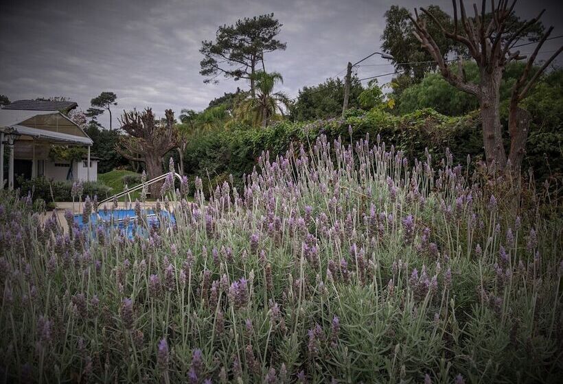 تختخواب و صبحانه Ars Amici