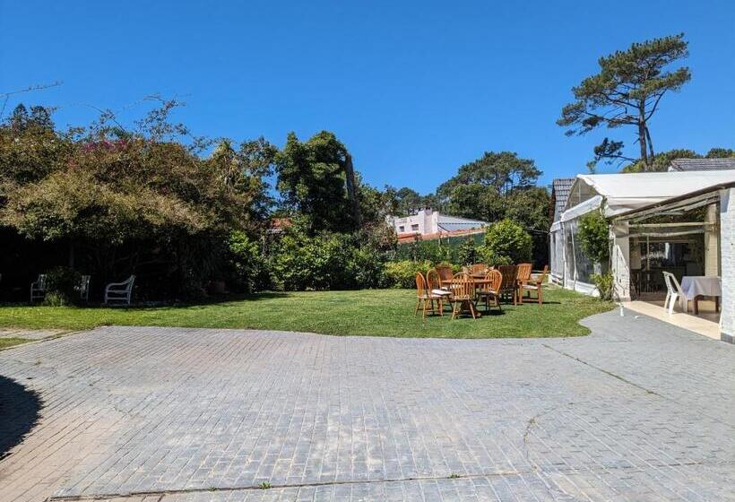 تختخواب و صبحانه Ars Amici