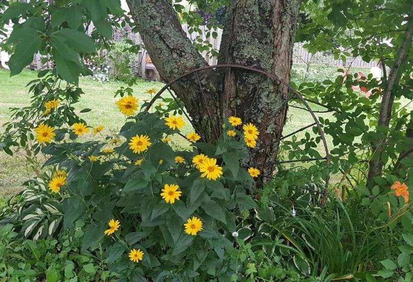 مبيت وإفطار The Home Place Inn