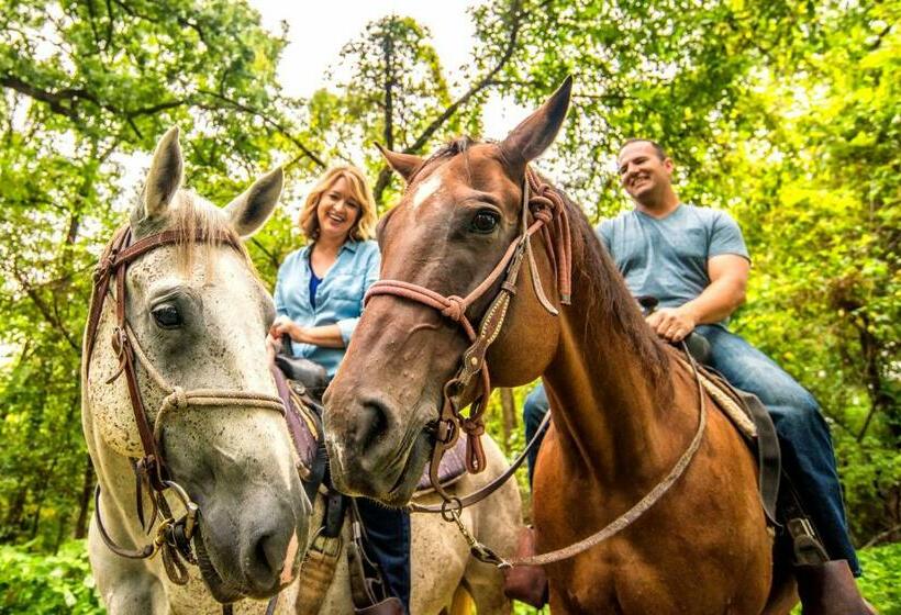 Margaritaville Lake Resort Lake Of The Ozarks