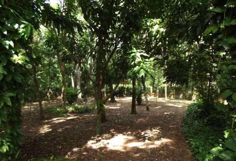 ペンション Pousada Golden Cataratas