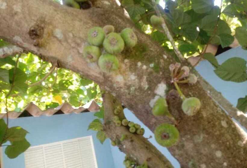 ペンション Pousada Golden Cataratas