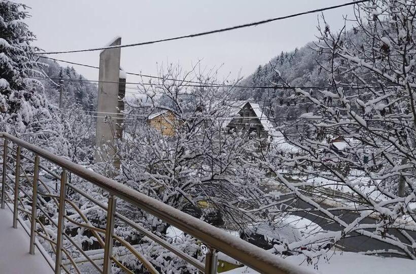 Pensiunea Cosalina Grande