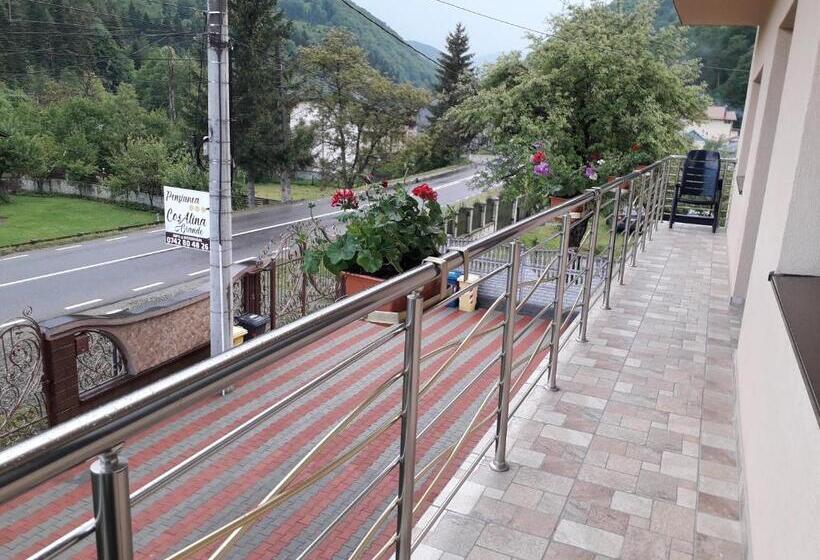 Pensiunea Cosalina Grande