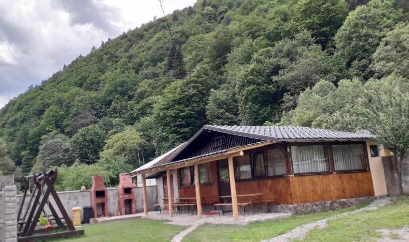 Pensiunea Cosalina Grande