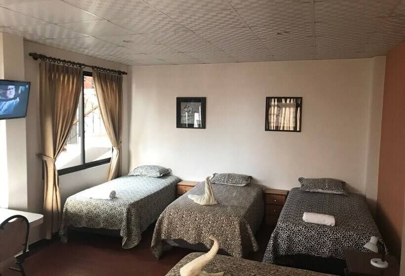 هاستل Cittadella Hostal