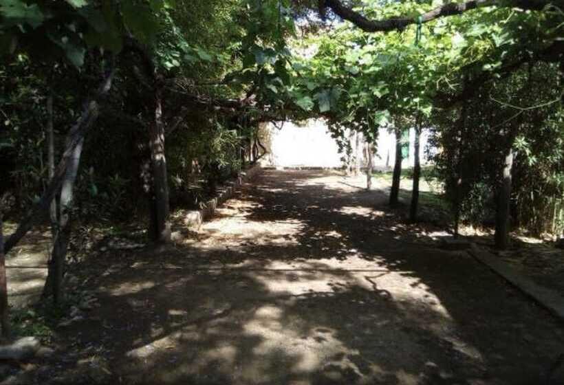 旅馆 Hospedaje Los Quebrachos