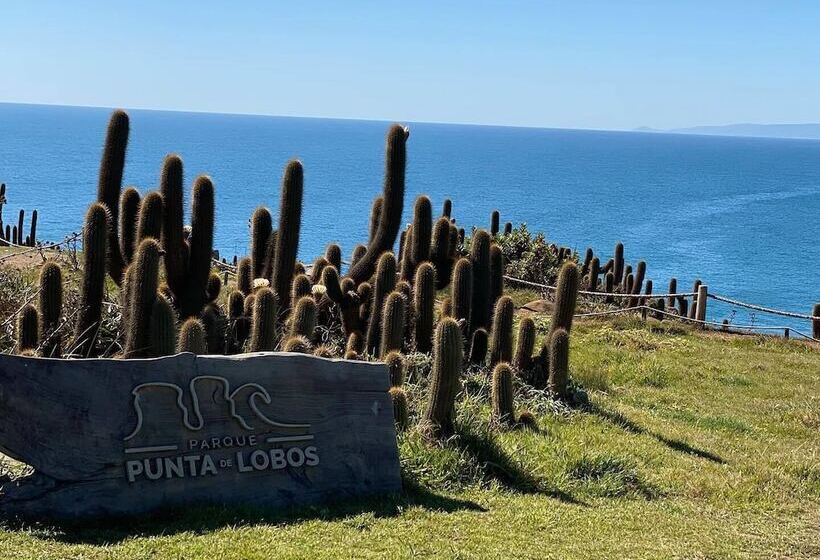 旅馆 Hostal Dolegant Pichilemu