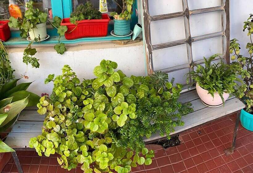 旅馆 Hostal Dolegant Pichilemu